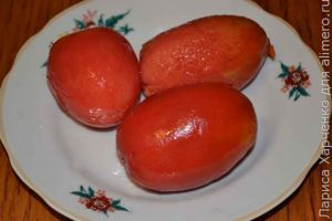 бутеброды