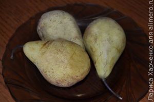 шарлотка