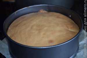 шарлотка