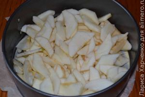 шарлотка