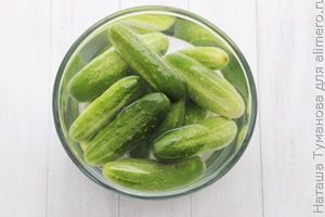 МАРИНОВАННЫЕ ОГУРЧИКИ