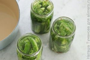 МАРИНОВАННЫЕ ОГУРЧИКИ