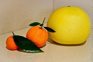 цитрусы цитрусы