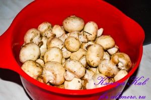 картошка с уткой в мультиварке