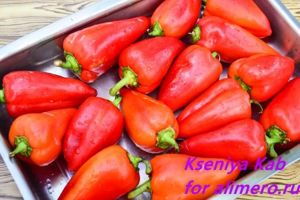 маринованный перец