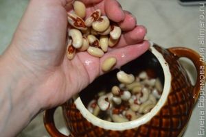 лобио