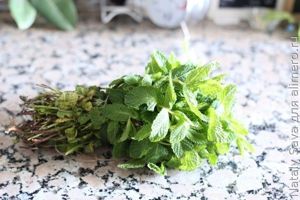 Марокканский чай с мятой