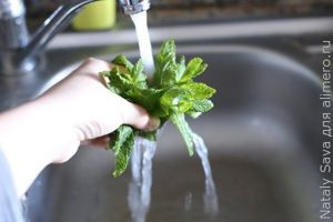 марокканский мятный чай марокканский мятный чай
