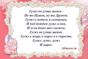 Стихи для детей о домашних животных