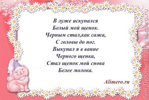 Стихи для детей о домашних животных