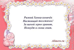 Стихи для детей о домашних животных