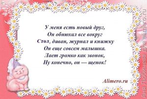 Стихи для детей о домашних животных