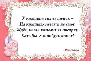 Стихи для детей о домашних животных