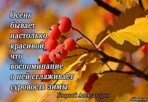 Высказывания знаменитых людей про осень