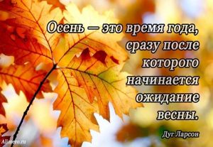 Высказывания знаменитых людей про осень