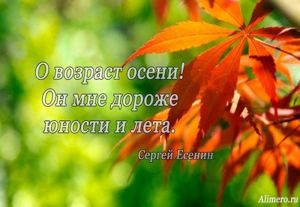 Высказывания знаменитых людей про осень
