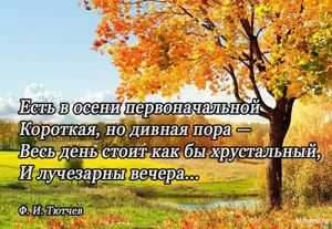 Высказывания знаменитых людей про осень