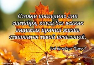 Высказывания знаменитых людей про осень