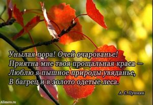 Высказывания знаменитых людей про осень