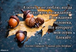 Высказывания знаменитых людей про осень