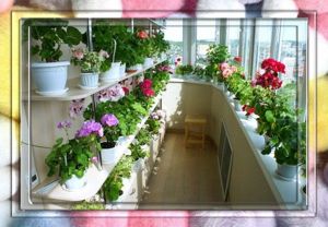 Уютный балкон. 25 оригинальных вариантов обустройства
