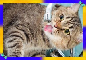 15. Возможности нашего тела можно описать правилом «трех». Три минуты вы можете продержаться без воздуха, три часа — без крова в экстремальных погодных условиях, три дня — без воды, три недели — без пищи. 15. Возможности нашего тела можно описать правилом «трех». Три минуты вы можете продержаться без воздуха, три часа — без крова в экстремальных погодных условиях, три дня — без воды, три недели — без пищи.