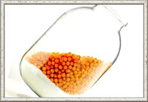 15. Морс из облепихи. Продукты: 1 стакан облепихи, 2 стакана воды, 2 стакана меда, сахар по вкусу. Ягоды промойте и измельчите в блендере. Добавьте мед или сахар, перемешайте. Процедите полученный напиток через ситечко. Добавьте в напиток воду на свое усмотрение, от этого зависит концентрация морса. 15. Морс из облепихи. Продукты: 1 стакан облепихи, 2 стакана воды, 2 стакана меда, сахар по вкусу. Ягоды промойте и измельчите в блендере. Добавьте мед или сахар, перемешайте. Процедите полученный напиток через ситечко. Добавьте в напиток воду на свое усмотрение, от этого зависит концентрация морса.