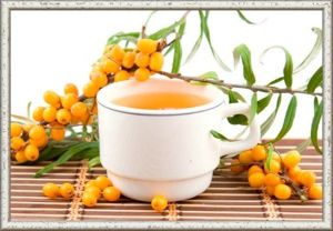 8. Компот сентябрьский. 1 кг ягод облепихи, 1 кг сахара, 1,2 л воды. Чуть недозревшие ягоды промыть, обсушить, засыпать в стерилизованные подогретые банки, залить горячим сахарным сиропом и поставить на пастеризацию при температуре 90°С: банки 0,5 л — на 10-12 минут, 1 л — на 15-17 минут. 8. Компот сентябрьский. 1 кг ягод облепихи, 1 кг сахара, 1,2 л воды. Чуть недозревшие ягоды промыть, обсушить, засыпать в стерилизованные подогретые банки, залить горячим сахарным сиропом и поставить на пастеризацию при температуре 90°С: банки 0,5 л — на 10-12 минут, 1 л — на 15-17 минут.