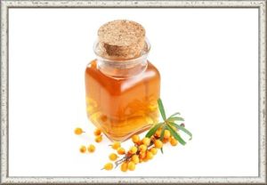 13. Масло из ягод и косточек. Ягоды измельчить и растереть. Отжать сок. Сок. При отстаивании сока наверху образуется слой масла, его аккуратно собирают в приготовленную посуду. Жом не выбрасывать! Промыть и высушить при температуре ниже 60°С. Затем измельчить через мясорубку или кофемолку и залить подогретым до 60°С подсолнечным маслом (рафинированным, не дезодорированным) или оливковым в соотношении 1:2 так, чтобы масло покрывало смесь. Тщательно размешать и оставить. Через 5-7 суток собрать всплывшее масло и залить им следующую порцию измельчённого жома. Если процедуру повторить 3-4 раза, облепиховое масло станет более концентрированным. Последнюю порцию снятого масла нужно слить в банку или бутыль тёмного стекла, плотно закрыть и поставить в холодильник. 13. Масло из ягод и косточек. Ягоды измельчить и растереть. Отжать сок. Сок. При отстаивании сока наверху образуется слой масла, его аккуратно собирают в приготовленную посуду. Жом не выбрасывать! Промыть и высушить при температуре ниже 60°С. Затем измельчить через мясорубку или кофемолку и залить подогретым до 60°С подсолнечным маслом (рафинированным, не дезодорированным) или оливковым в соотношении 1:2 так, чтобы масло покрывало смесь. Тщательно размешать и оставить. Через 5-7 суток собрать всплывшее масло и залить им следующую порцию измельчённого жома. Если процедуру повторить 3-4 раза, облепиховое масло станет более концентрированным. Последнюю порцию снятого масла нужно слить в банку или бутыль тёмного стекла, плотно закрыть и поставить в холодильник.