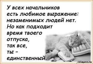 25 забавных высказываний о работе