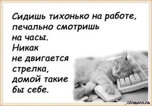 25 забавных высказываний о работе