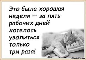 25 забавных высказываний о работе