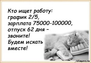 25 забавных высказываний о работе