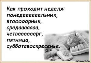 25 забавных высказываний о работе