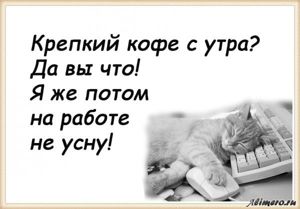 25 забавных высказываний о работе