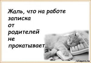 25 забавных высказываний о работе