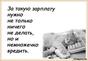25 забавных высказываний о работе