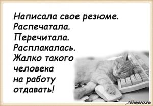 25 забавных высказываний о работе