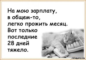 25 забавных высказываний о работе
