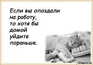 25 забавных высказываний о работе