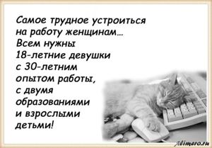 25 забавных высказываний о работе