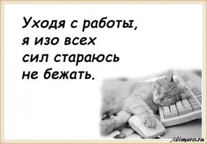 25 забавных высказываний о работе