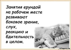 25 забавных высказываний о работе