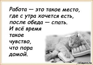 25 забавных высказываний о работе