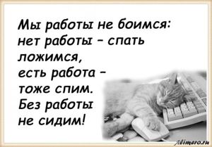 25 забавных высказываний о работе