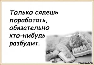 25 забавных высказываний о работе