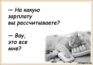 25 забавных высказываний о работе