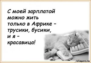 25 забавных высказываний о работе