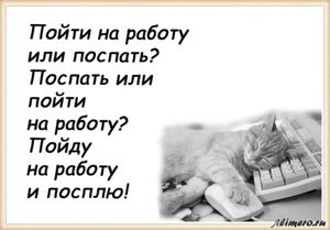 25 забавных высказываний о работе