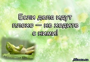 Забавные высказывания об отношении к жизни